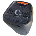 Enceinte ICONIX IC-BS80 1800W